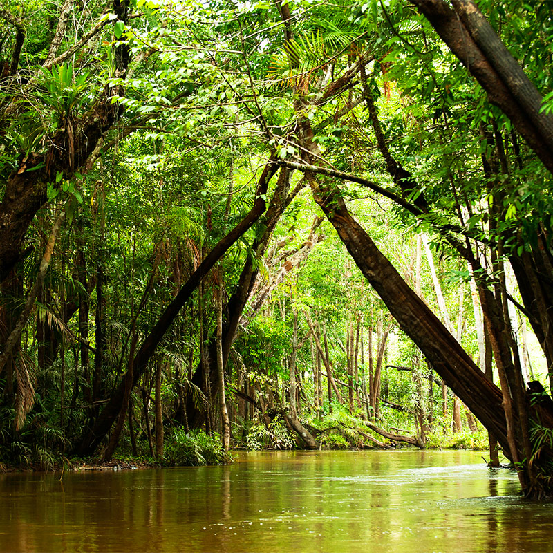 Fleuve amazonie bresil